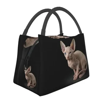 Sphynx котка изолирани обяд голяма пазарска чанта за жени смешно коте преносим охладител термична храна обяд кутия болница офис
