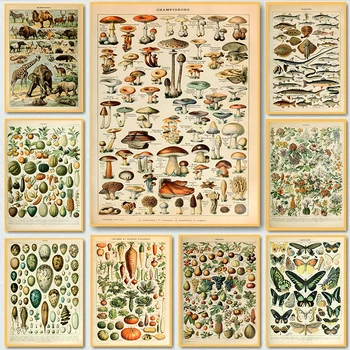 Vintage Palaeobios Ботанически ретро плакат гъби насекоми пеперуда платно живопис стена арт отпечатъци стена картина дома декор