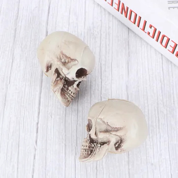 Реалистичен пластмасов череп мини ужасяваща челюст Хелоуин реквизит орнамент Хелоуин парти декорация